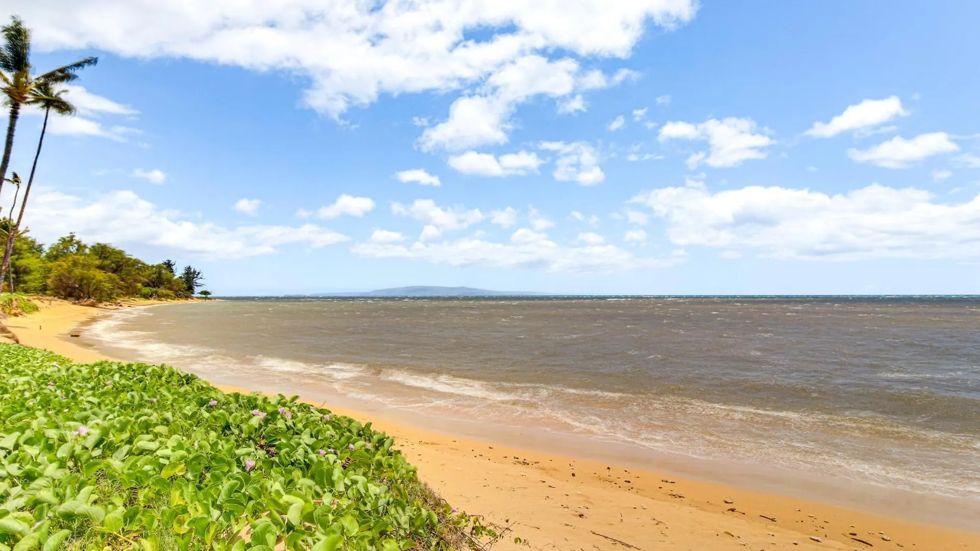 Apartment Gorgeous Oceanfront Condo With Spectacular Views! Kīhei