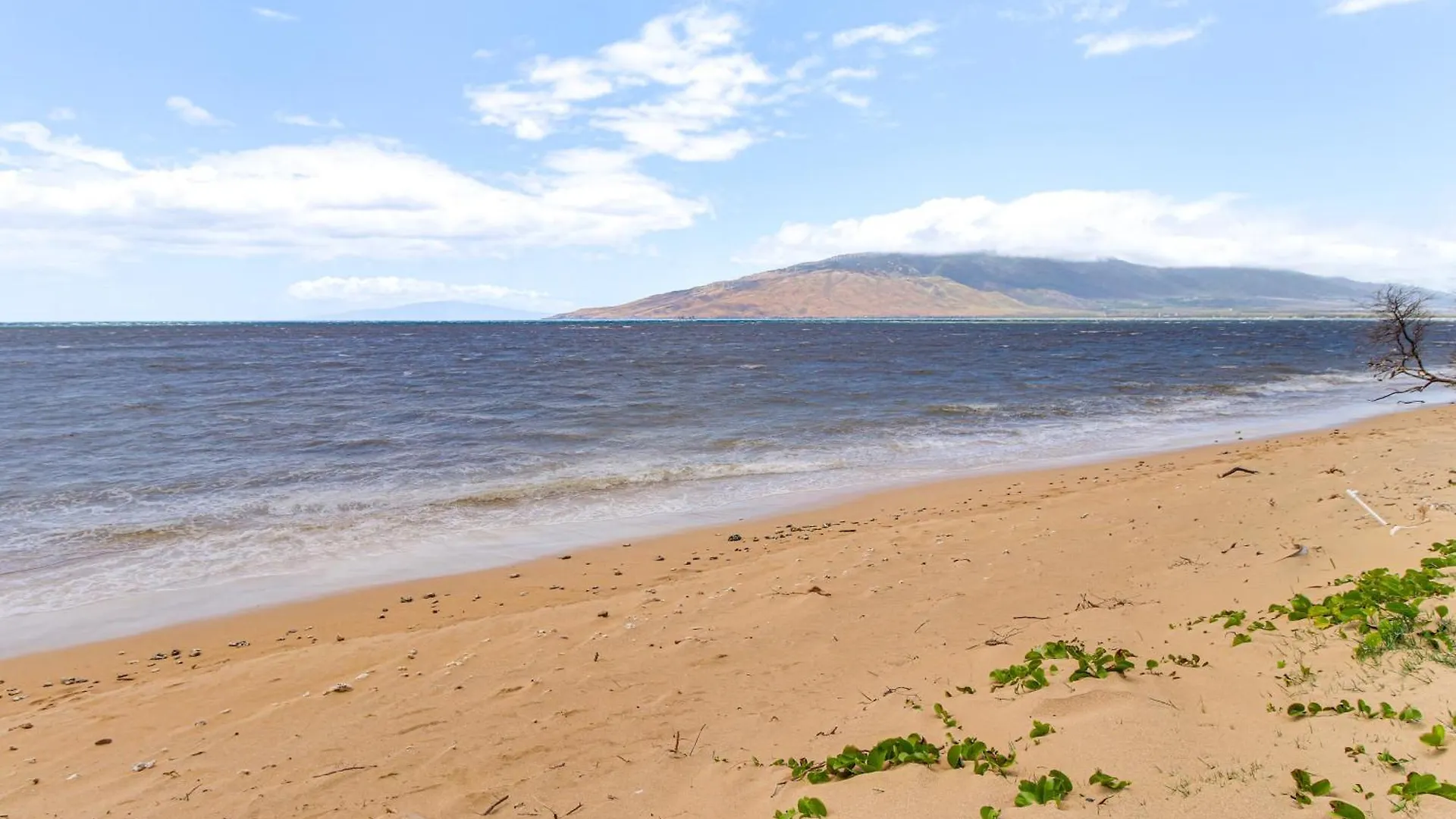 Gorgeous Oceanfront Condo With Spectacular Views! Kīhei 0*,  USA