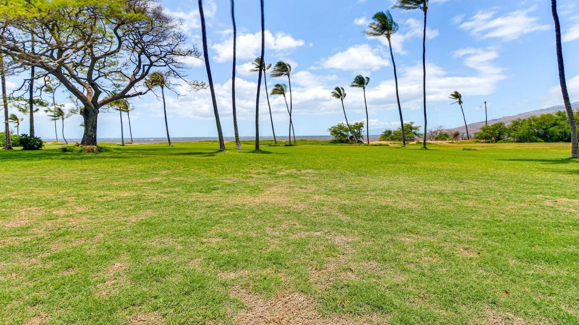 Gorgeous Oceanfront Condo With Spectacular Views! Kīhei Apartment